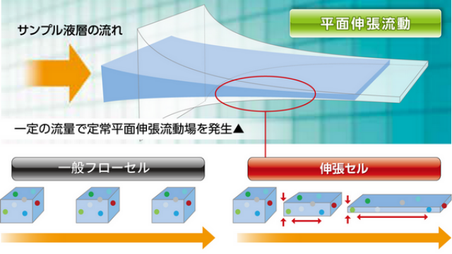 当社独自の平面伸張セル